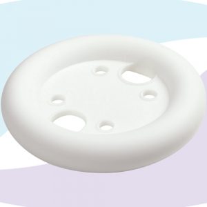 Regular Ring With Support